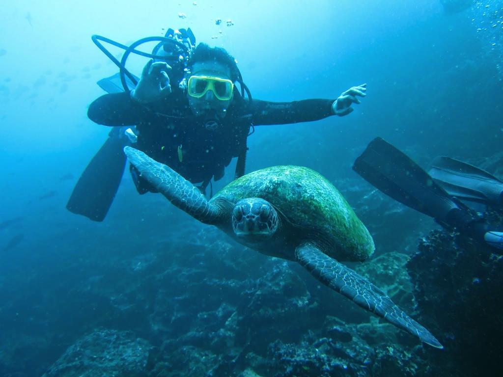 Divers Lodge Santa Cruz Red Mangrove Inn Puerto Ayora Galapagos